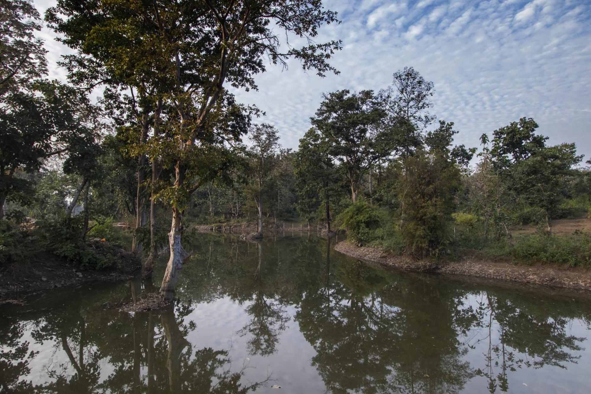Wowstayz Pachmarhi Ecotel Exterior photo
